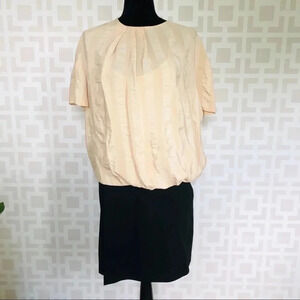 Alexander Wang Dress Tan Black Business 8